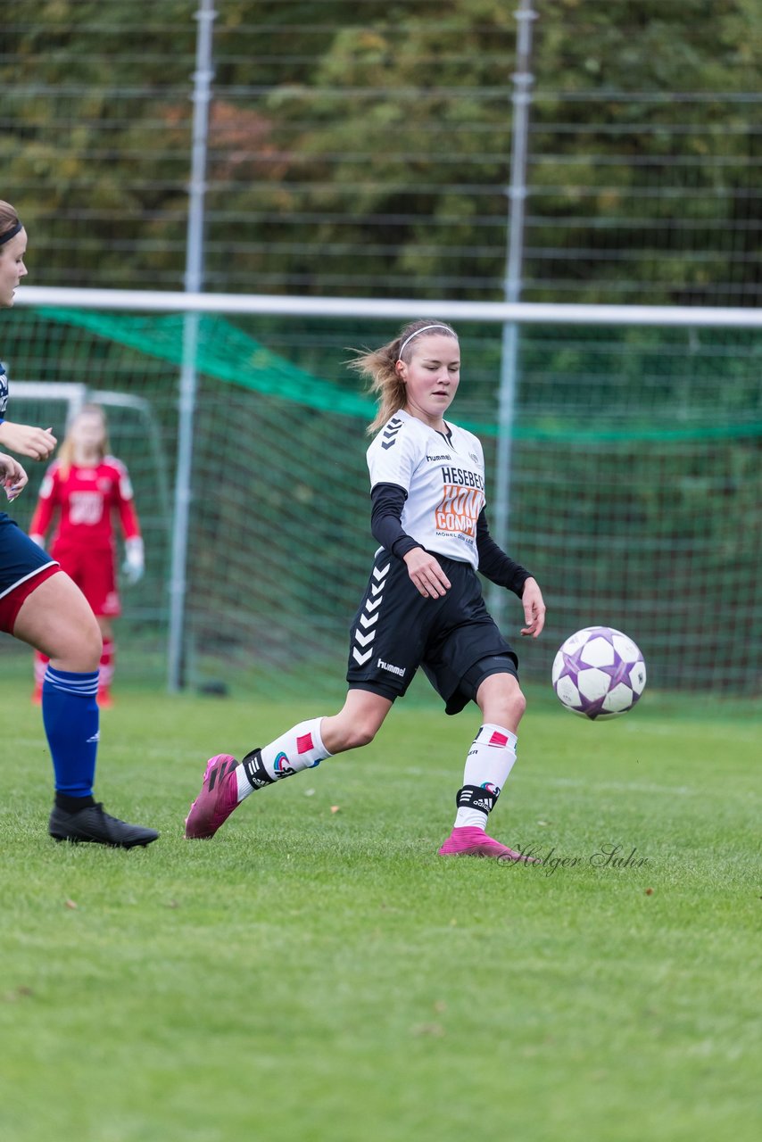 Bild 103 - B-Juniorinnen SV Henstedt Ulzburg - Hamburger SV : Ergebnis: 2:3